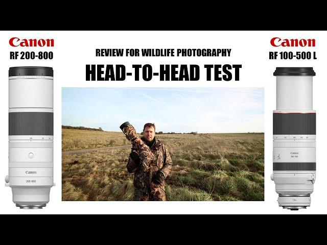 Canon RF 200-800 vs RF 100-500. Lens Review for Wildlife Photography