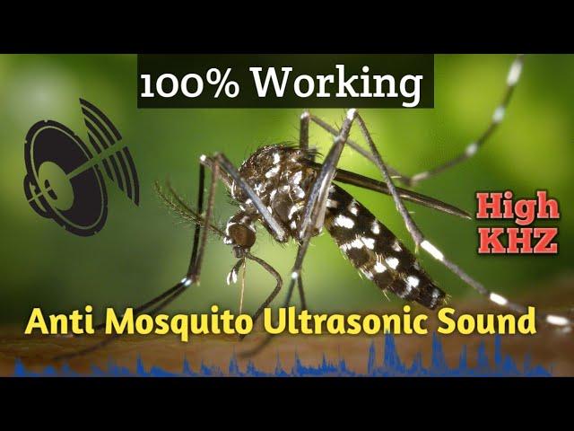 Mosquito Repellent Sound | Anti Mosquito Ultrasonic Sound effect