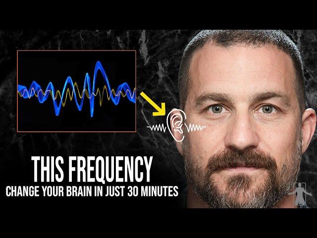 What is The 40 Hz Frequency and What Can It Do For You? | with Dr. Andrew Huberman