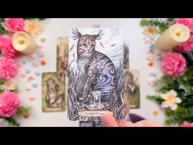 LEOLAS CARTAS REVELAN ALGO! ALGUIEN TE BUSCA CON ESTA INTENCION LEO! HOROSCOPO #LEO HOY TAROT AMOR