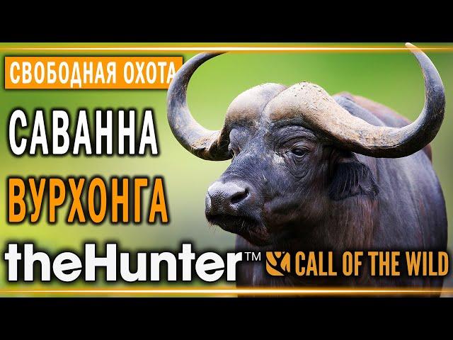 theHunter Call of the Wild #7  - Саванна Вурхонга (часть 1) - Свободная Охота