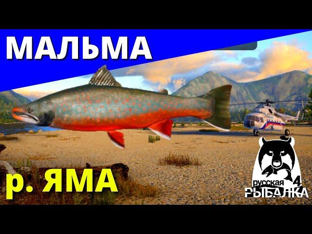 МАЛЬМА Река ЯМА ► Клёвые Места / ФАРМ  РУССКАЯ РЫБАЛКА 4  Russian Fishing 4  РР4