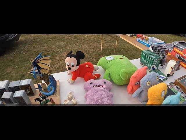 I TRY DUNTON IN ESSEX WEDNESDAY CAR BOOT TO SEE IS IT WORTH IT VLOG 273