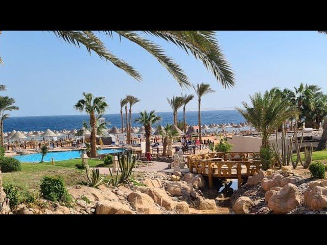 Parrotel Beach Resort Hotel - Full Review - Sharm El Sheikh - Egypt