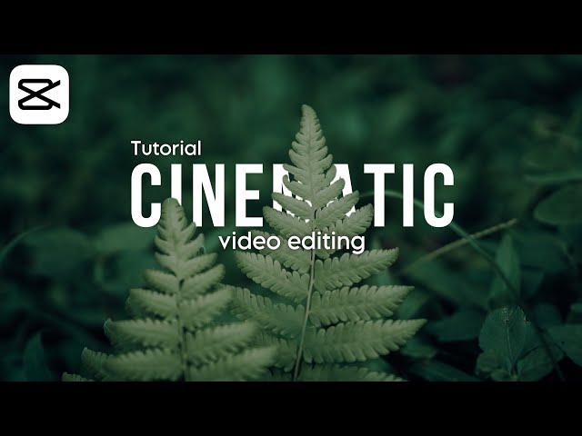 Cara Edit Video Cinematic Di CapCut || Edit Cinematic Love Story