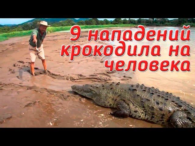 9 реальных нападений КРОКОДИЛА НА ЧЕЛОВЕКА