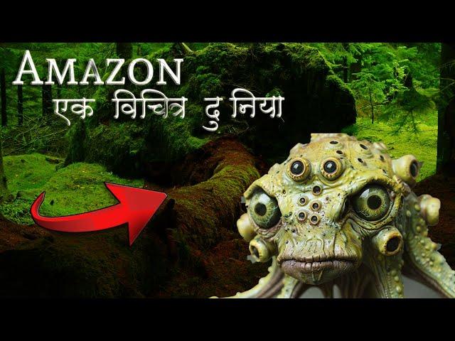 Amazon Rainforest SECRETS You Won't Believe