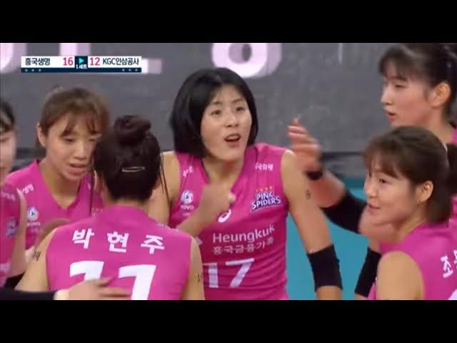 pink spiders vs KGC volleyball korea