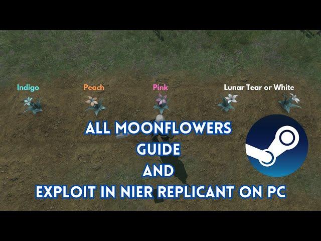 All Moonflowers Guide and Exploit in Nier Replicant on PC