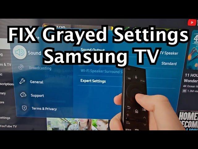 SOLUTION for Grayed Out Settings Menus on Samsung Smart TV!