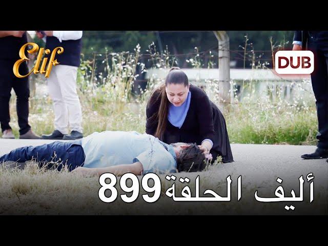 أليف الحلقة 899 | دوبلاج عربي