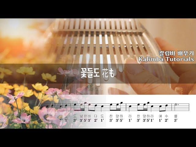 조율없이 연주하는 '꽃들도 花も' Ckey