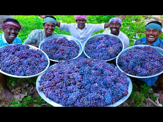 GRAPE JUICE | 100 KG Grapes | Natural Pure Healthy Fruit Juice Making In Village | Juice Recipe