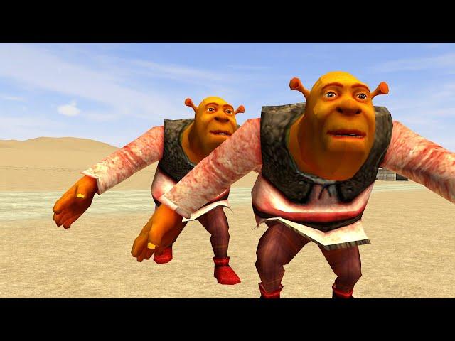 KOO MOMENT SHREK