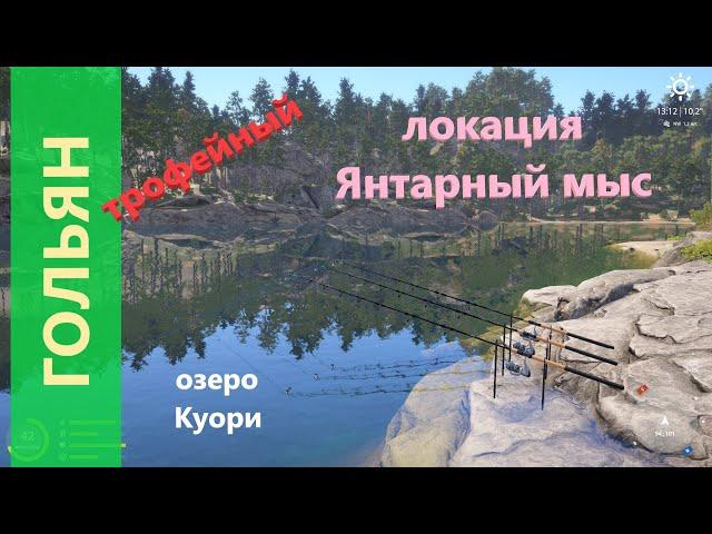 Русская рыбалка 4 - озеро Куори - Гольян у лагеря