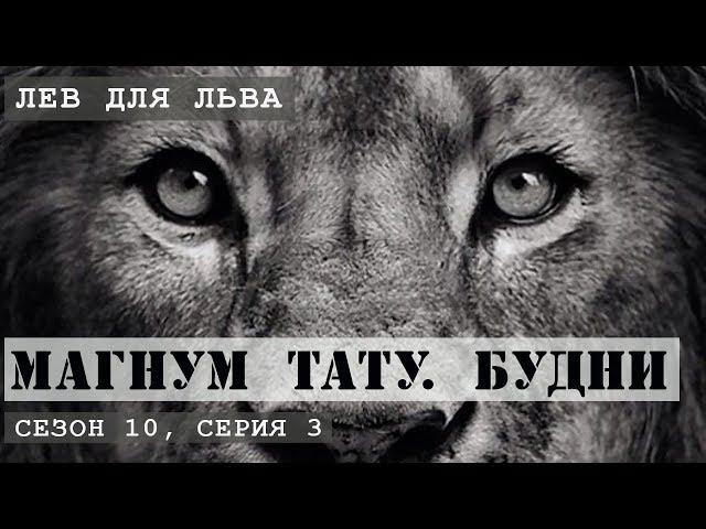 Тату Лев для Льва  «Магнум тату Будни» Сезон 10, серия 3