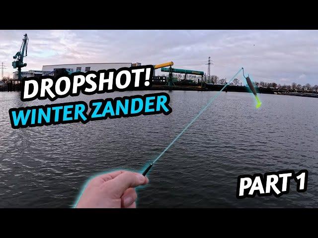 Ist DROPSHOT wirklich die beste Methode für Zander im Winter?