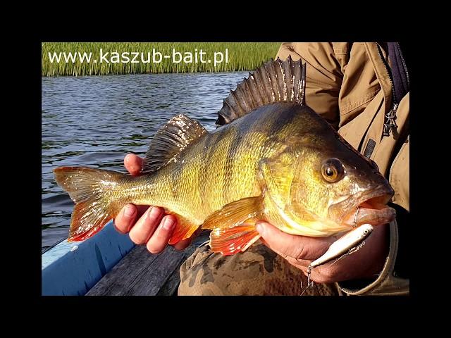 Praca przynęty Ukleja 7cm - Kaszub-bait.pl || HandMade