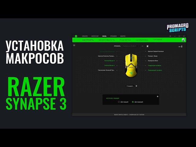 Как установить макросы на мышку Razer через ПО Synapse 3?