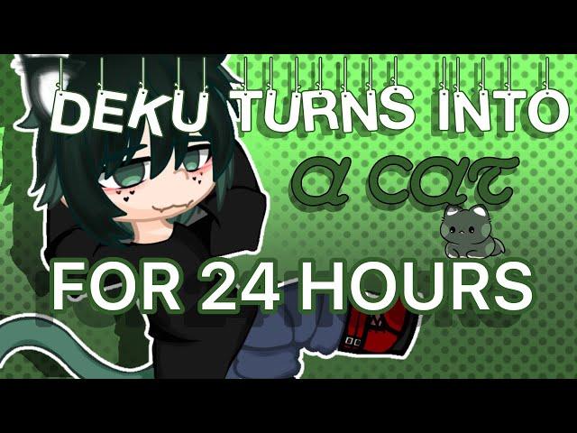 []Deku turns into a cat for 24 hours[]MHA[]