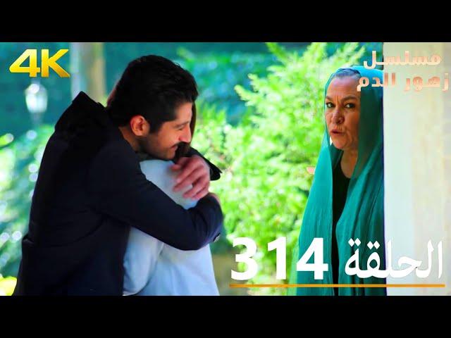 الحلقة 314 | مسلسل زهور الدم | مدبلج بالعربية | Kan Çiçekleri