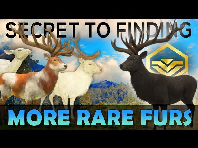 The SECRET to Finding WAY MORE RARES!!! - Call of the Wild