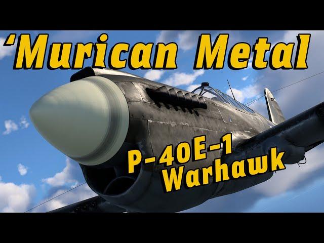 Reviewing The P-40E-1 | War Thunder Sim VR