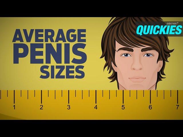 Average Penis Sizes with Best Sex Positions | Quickies