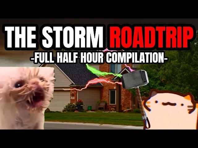 CAT MEMES: THE STORM FULL COMPILATION