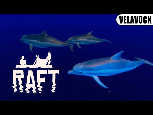 Встреча с дельфинами - Raft