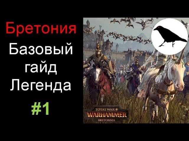 Базовый продвинутый гайд на Бретонию для легендарной сложности | Total War: Warhammer 2