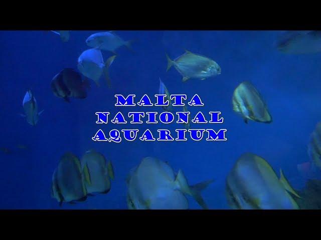 Malta National Aquarium