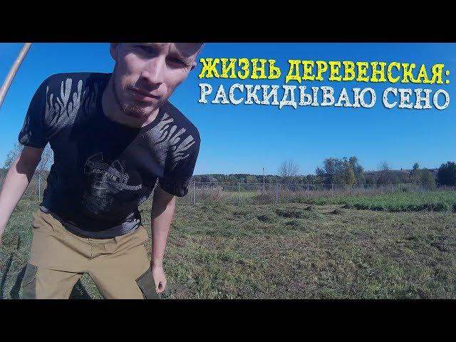 Раскидываю сено