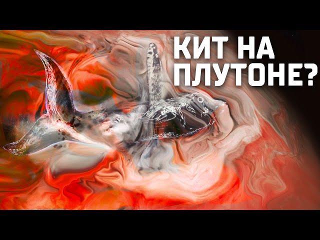 Первые удивительные фото - Обнаружен КИТ на Плутоне