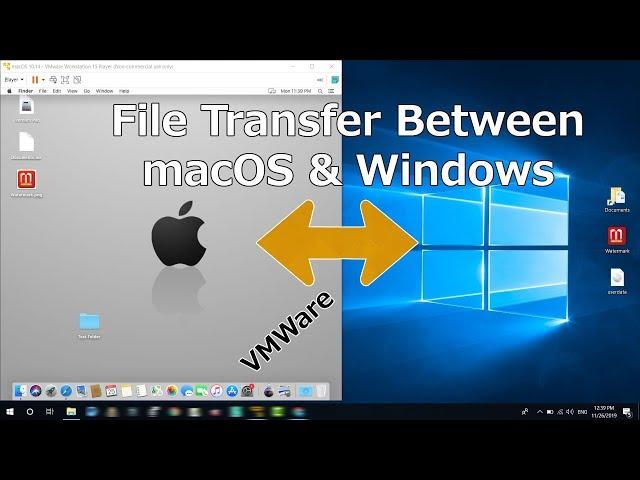 How To Share File Or Folder Between Mac And Windows on VMware