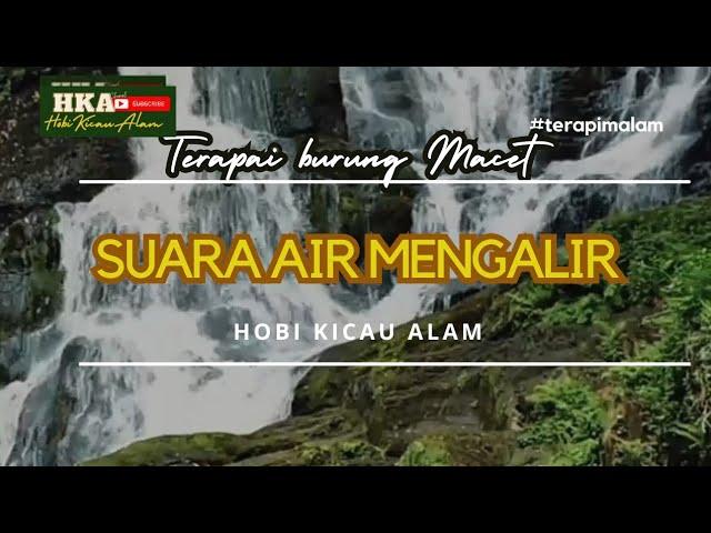 TERAPI suara air mengalir cocok BURUNG MACET Outo nyaut #gacor #masteranmurai #muraibatu