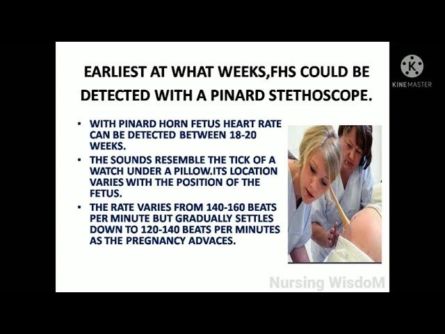 PINARD FETAL STETHOSCOPE