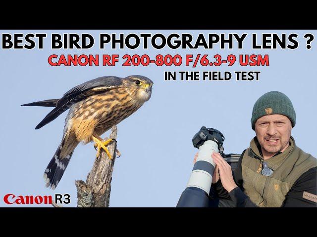 Best Bird Photography Lens | In the Field Review of the Canon RF 200-800 f6.3-f9 using the Canon R3