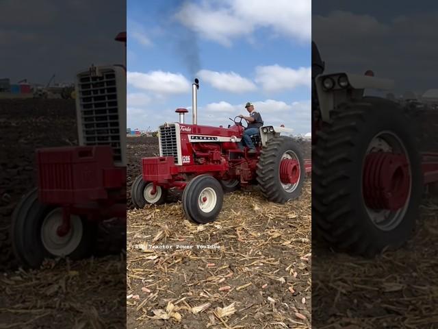 IH FARMALL 1206 Turbo Tractor #bigtractorpower #caseih #tractor #farmall #internationalharvester