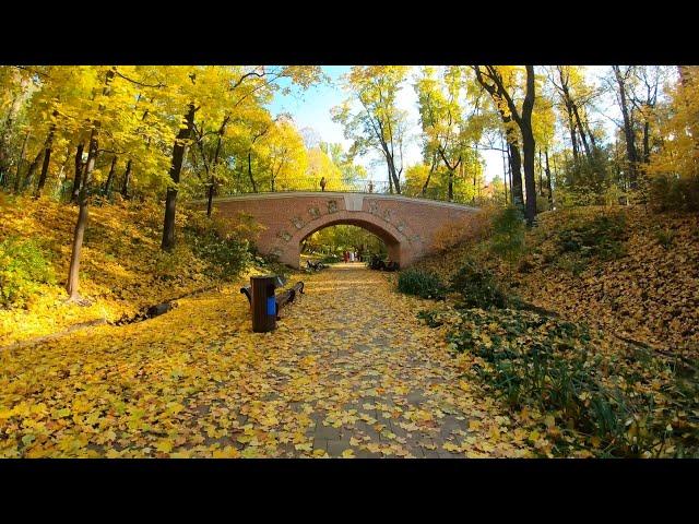 Autumn walk in Moscow, Autumn leaves, Neskuchniy garden 4K.