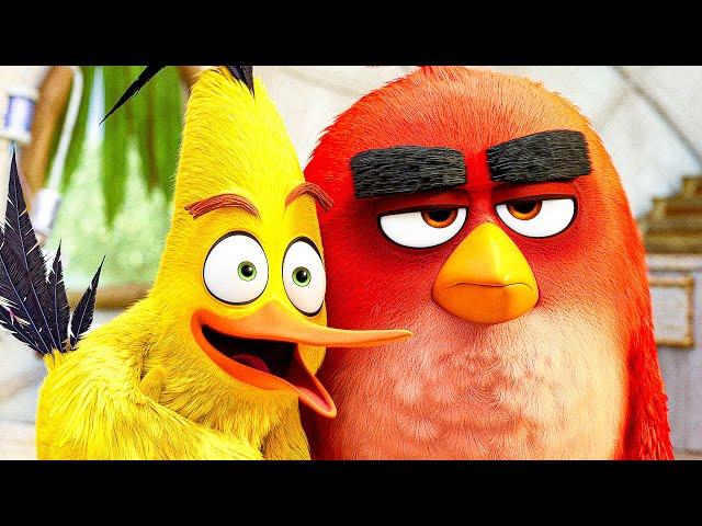 THE ANGRY BIRDS MOVIE 2 All Movie Clips + Trailer (2019)