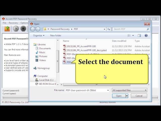 PDF Password Recovery with AccentPPR. How-to Guide