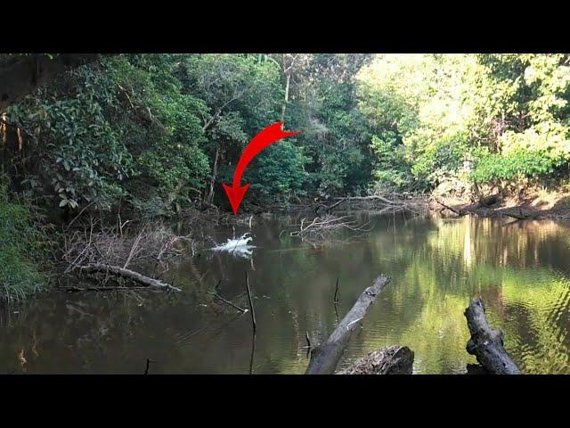 ALFATH LURE TOMAN II tes ting danau kalteng l part 1