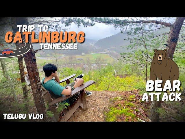 SMOKY MOUNTAINS road trip  | Bear attack | Telugu | Gatlinburg Tennessee 