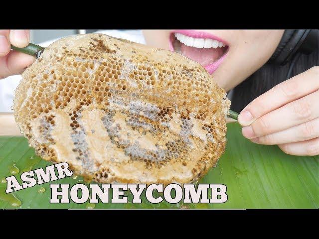 ASMR RAW HONEYCOMB (STICKY SOFT BUBBLY CRUNCH EATING SOUNDS) NO TALKING | SAS-ASMR