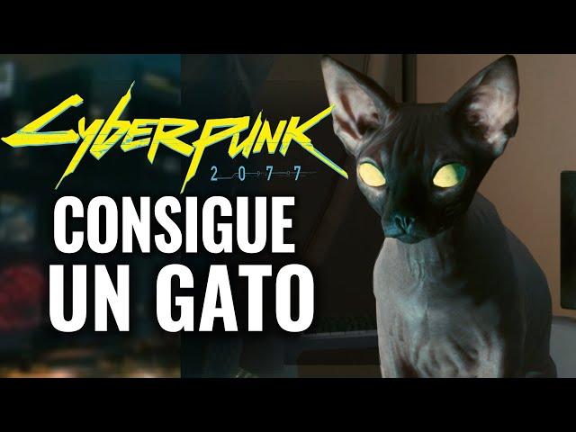 CONSIGUE UN GATO MASCOTA Y OTROS SECRETOS EN CYBERPUNK 2077