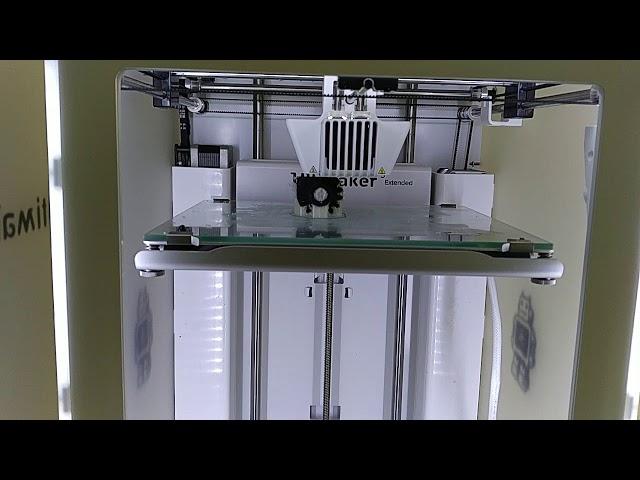 Ultimaker 3 printing with dual print head