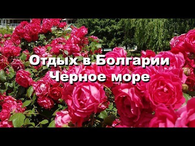 Отдых в Болгарии / Черное море / обзор