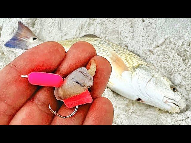 This is WHY this is the NEXT BEST Surf Fishing Hack!