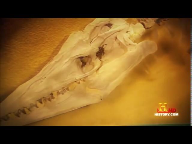 Prehistoric Monsters Revealed - Mysterical Monster HD Animals Documentary